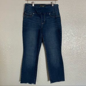 Lee Sculpting Slim Fit Pull On Pants